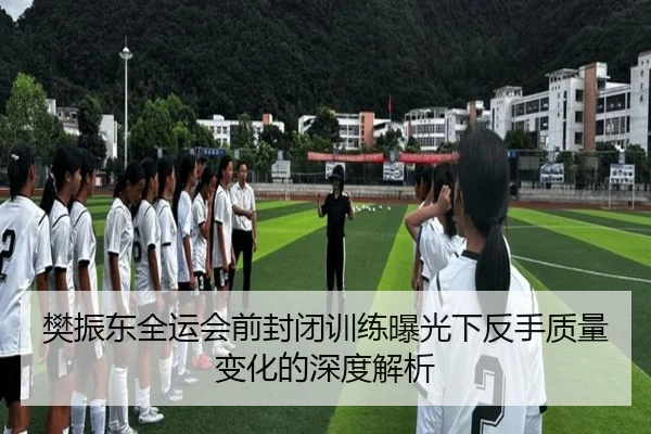樊振东全运会前封闭训练曝光下反手质量变化的深度解析